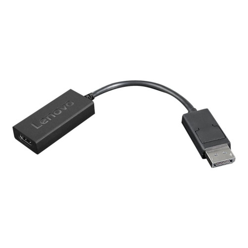 Lenovo Lenovo videokort - DisplayPort / HDMI - 22.5 cm