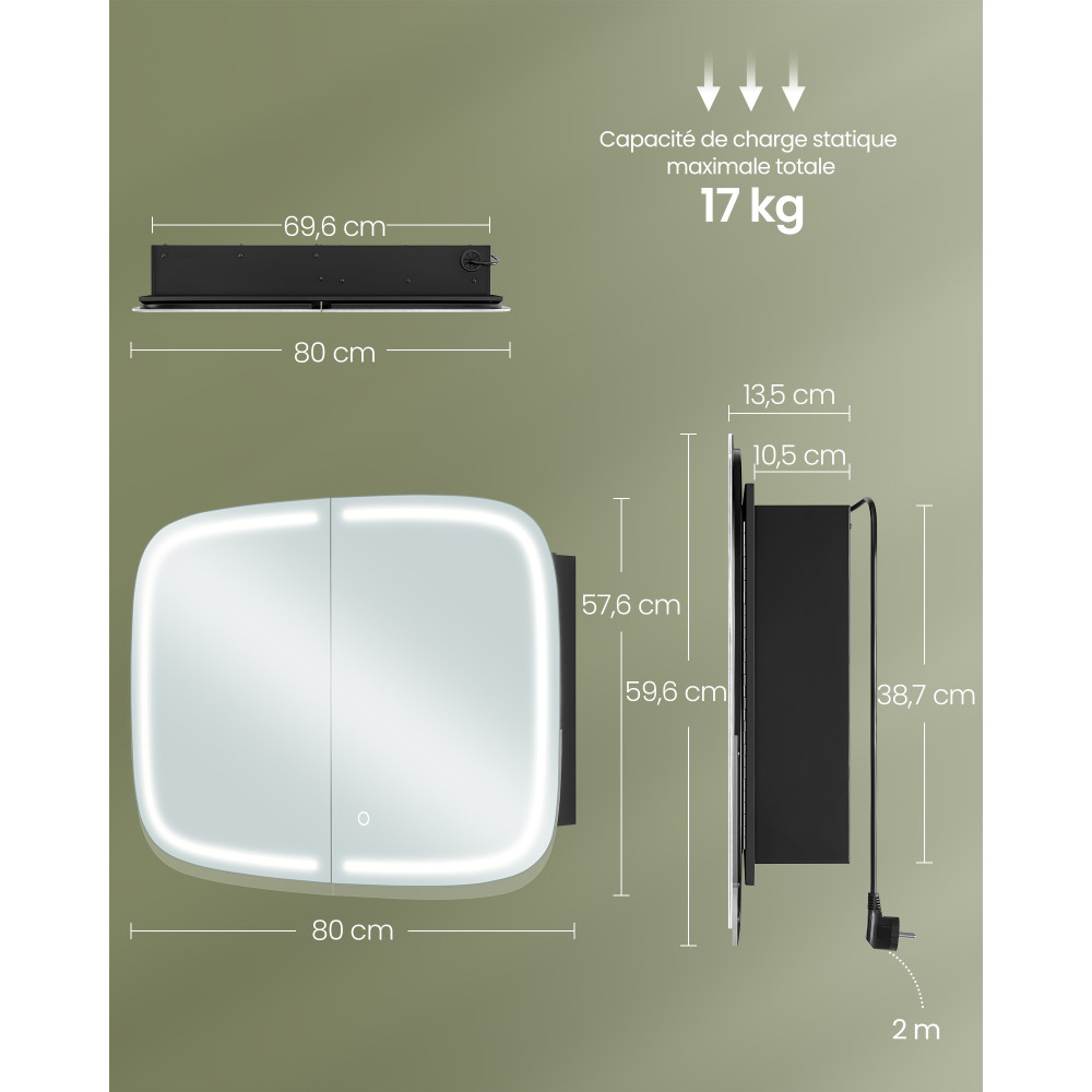 Produktbild för Bathroom Mirror With Lighting 2 Adjustable Shelves Ink Black 80x60x14cm