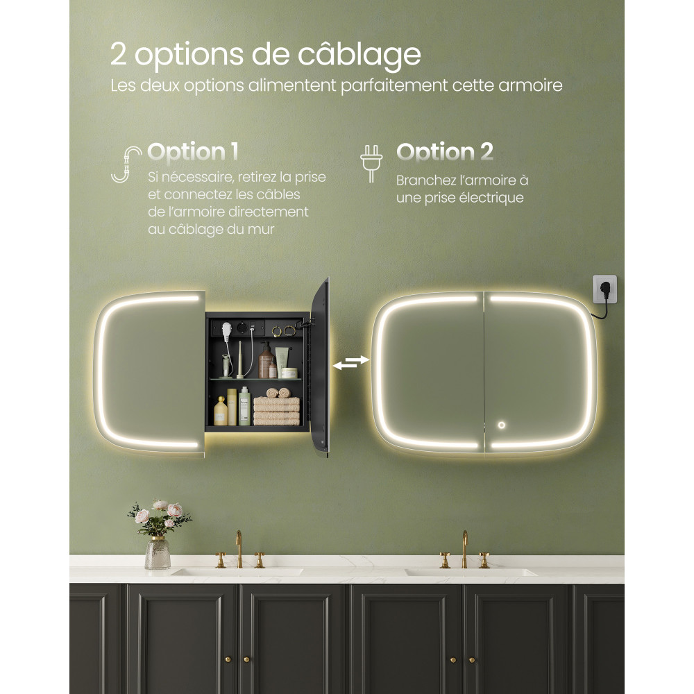 Produktbild för Bathroom Mirror With Lighting 2 Adjustable Shelves Ink Black 80x60x14cm