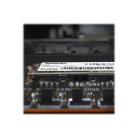 Produktbild för Patriot P310 - SSD - 240 GB - PCIe 3.0 x4 (NVMe)