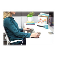 Produktbild för Fellowes Penguin Large - vertikal mus - 2.4 GHz - svart, silver