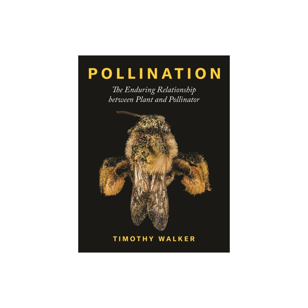 Produktbild för Pollination (inbunden, eng)