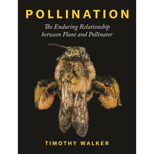 Princeton University Press Pollination (inbunden, eng)