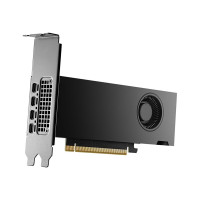 Produktbild för NVIDIA - grafikkort - NVIDIA RTX 2000 Ada - 16 GB