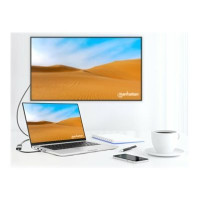Produktbild för Manhattan videokort - HDMI / USB - 11 cm
