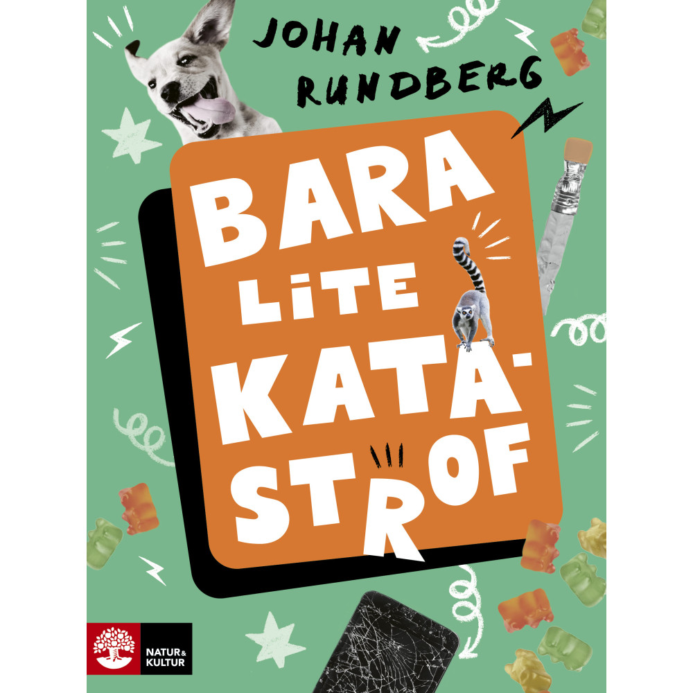 Produktbild för Bara lite katastrof (inbunden)