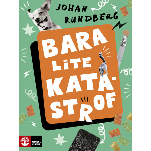 Johan Rundberg Bara lite katastrof (inbunden)