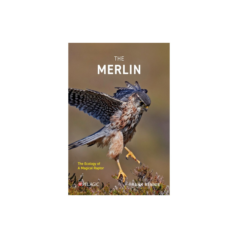 Produktbild för The Merlin (häftad, eng)