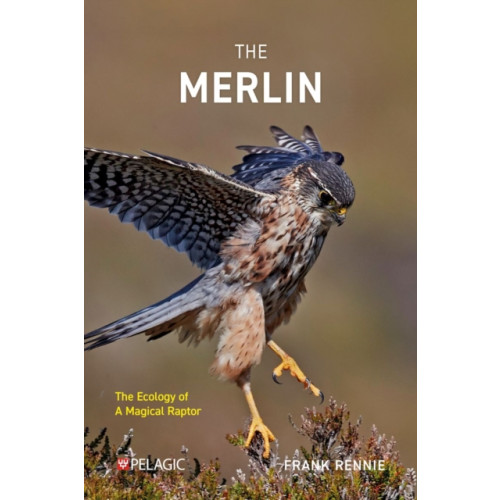 Pelagic Publishing The Merlin (häftad, eng)