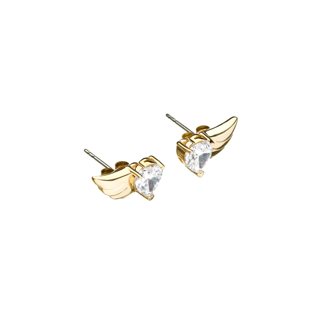 Produktbild för CHIARA FERRAGNI J19AVH07 - Earrings Dam (0.8x1.6CM)