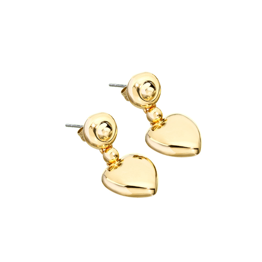 Produktbild för CHIARA FERRAGNI J19AXP05 - Earrings Dam (2.5CM)