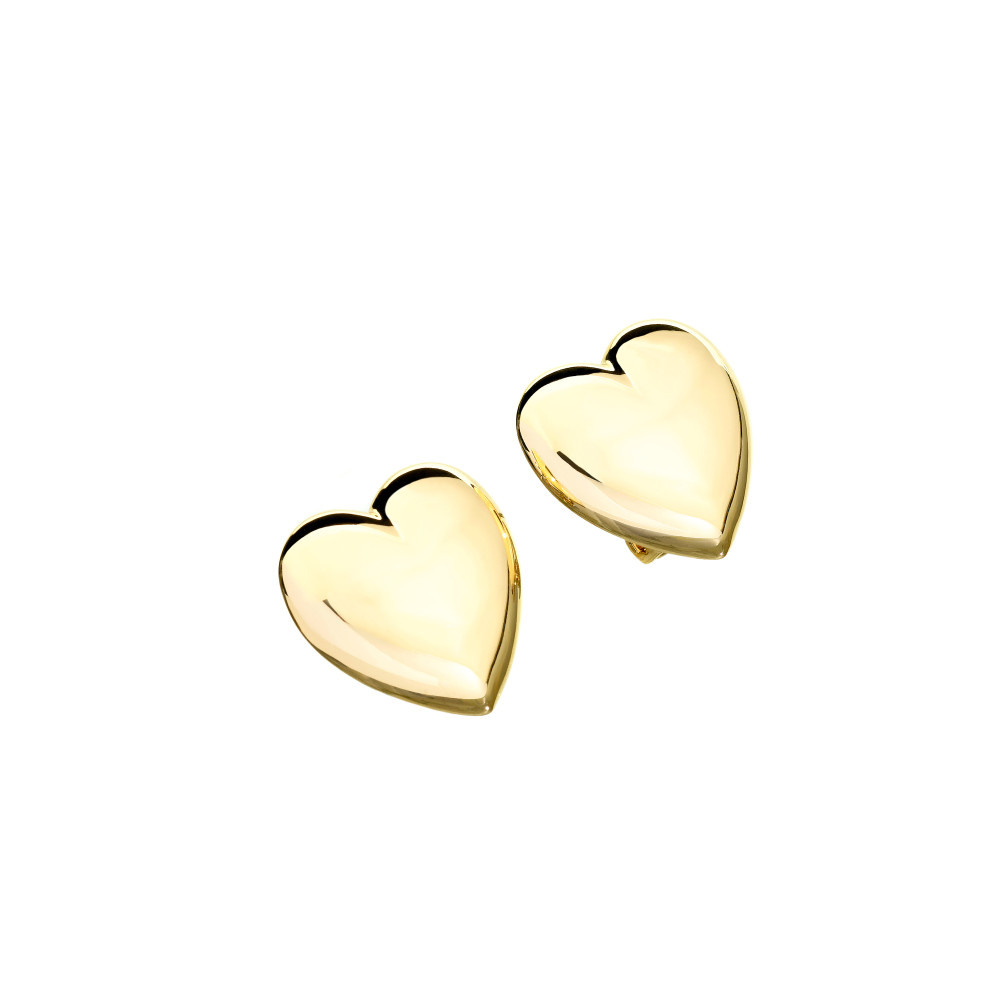 Produktbild för CHIARA FERRAGNI J19AXP07 - Earrings Dam (2.1CM)