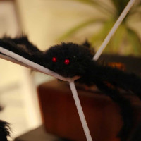 Produktbild för Halloween-spindel dekoration med nät 4 pcs Svart och vit