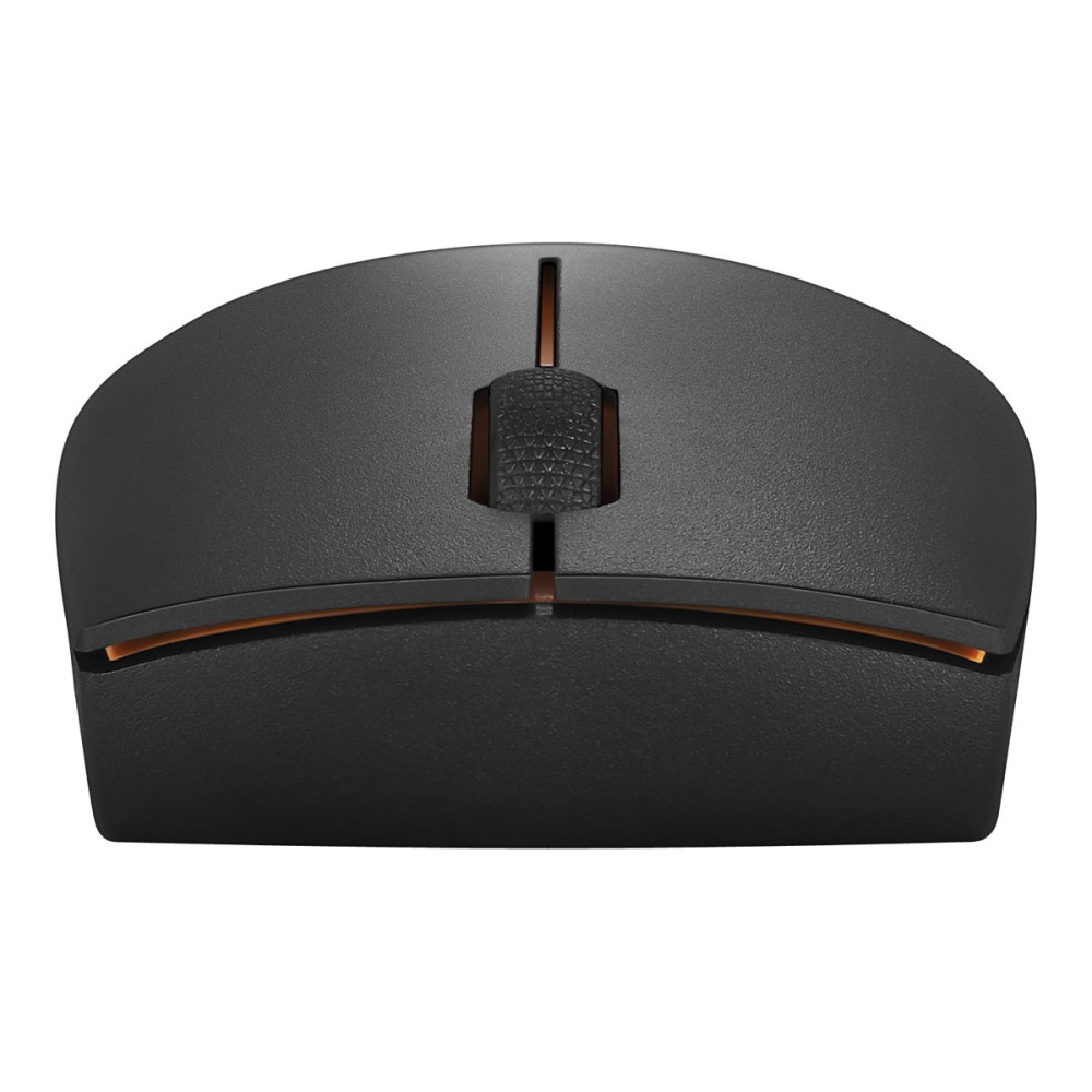 Produktbild för Lenovo 300 Wireless Compact - mus - med batteri - 2.4 GHz - arctic grey