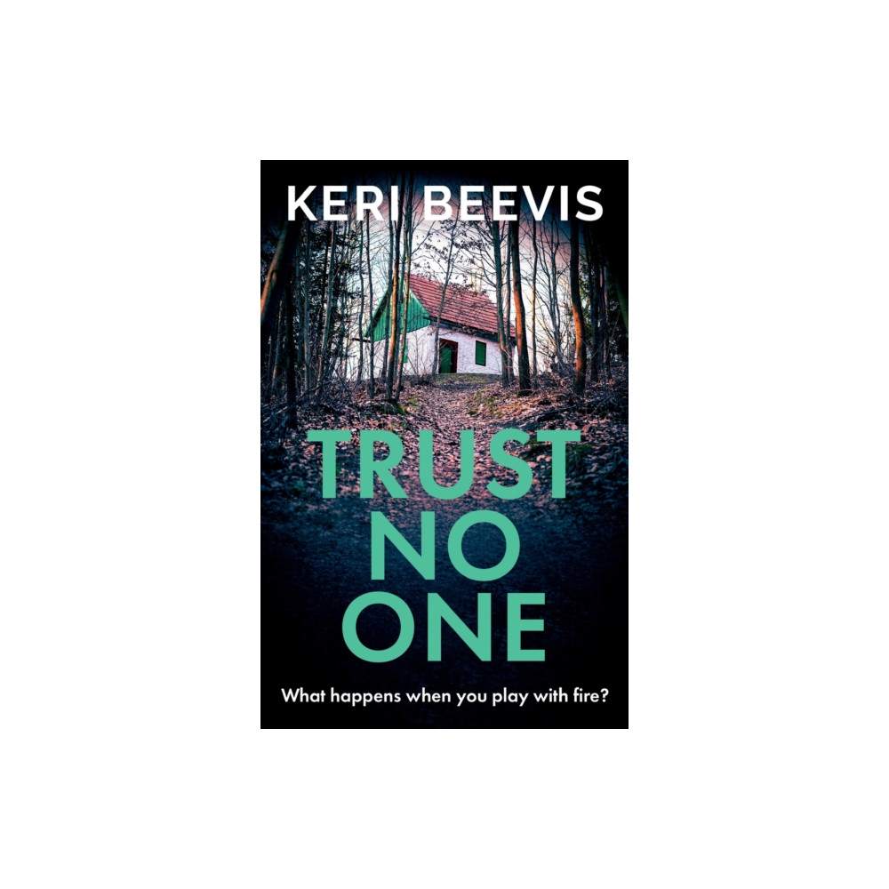 Produktbild för Trust No One (häftad, eng)