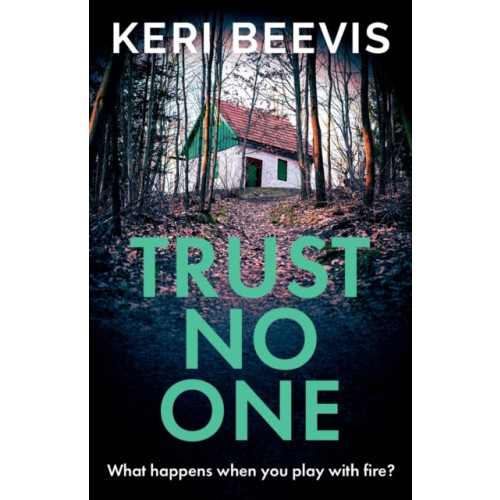 Boldwood Books Ltd Trust No One (häftad, eng)