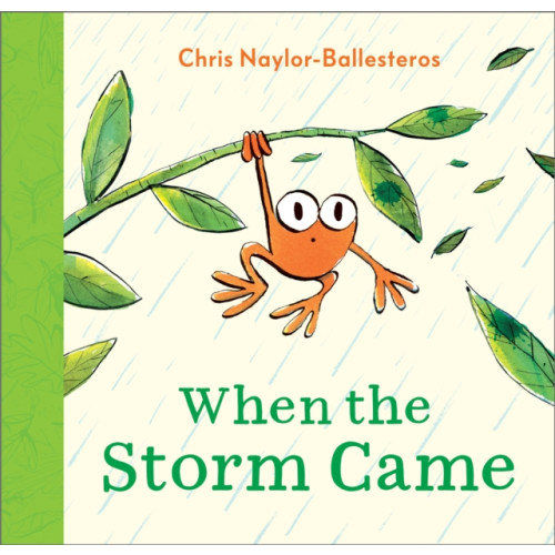 Andersen Press Ltd When the Storm Came (häftad, eng)