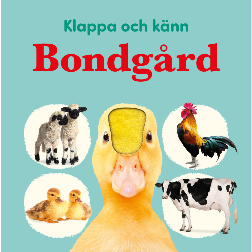 Produktbild för Klappa och känn. Bondgård (bok, board book)