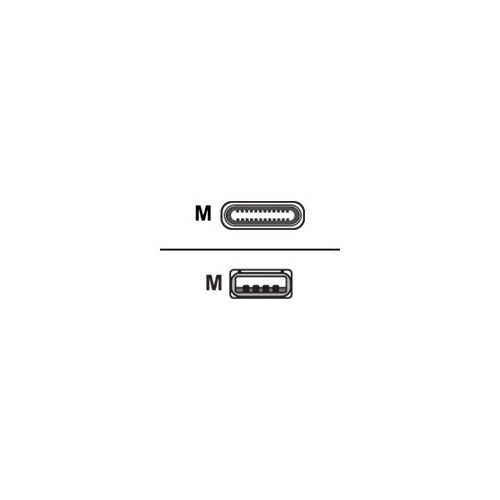Digitus ASSMANN - USB typ C-kabel - USB-C till USB - 3 m