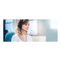 Produktbild för Jabra BIZ 2300 MS QD Duo - headset - Quick Disconnect