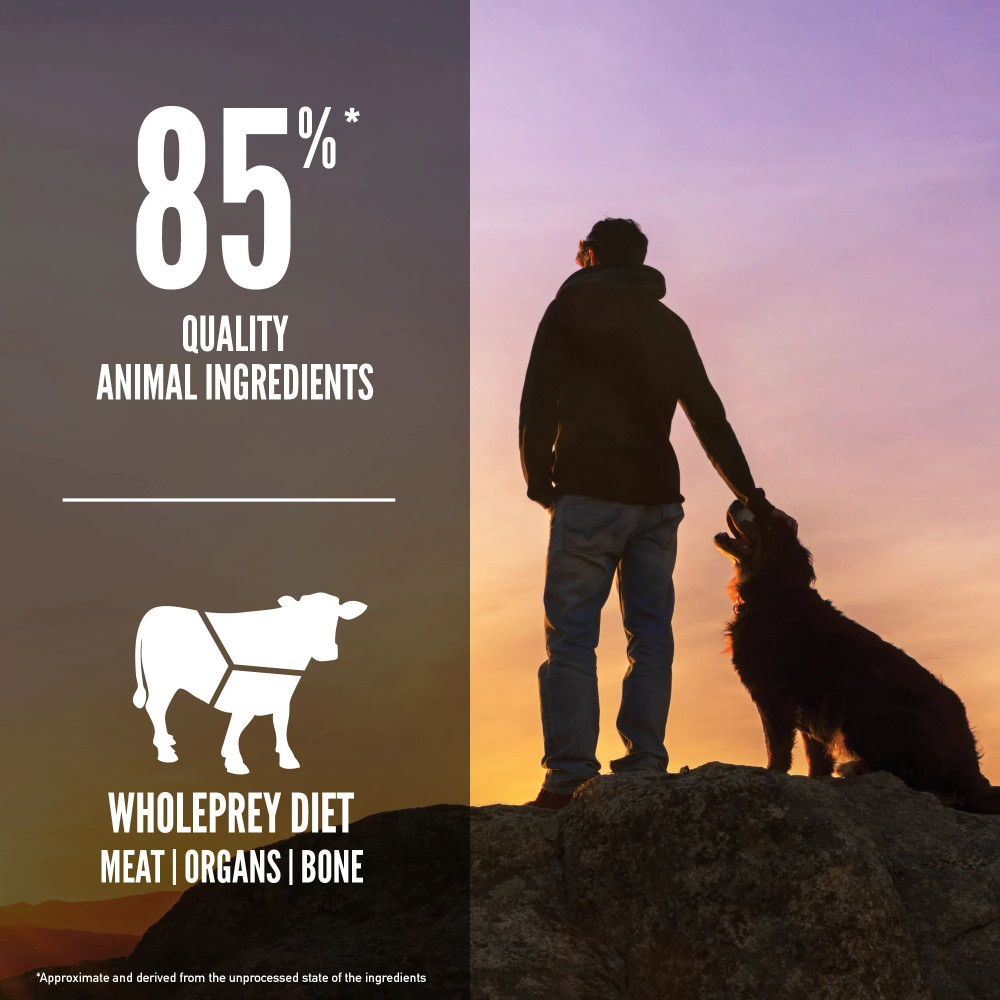 Produktbild för Regional Red Torrfoder för hund 2kg