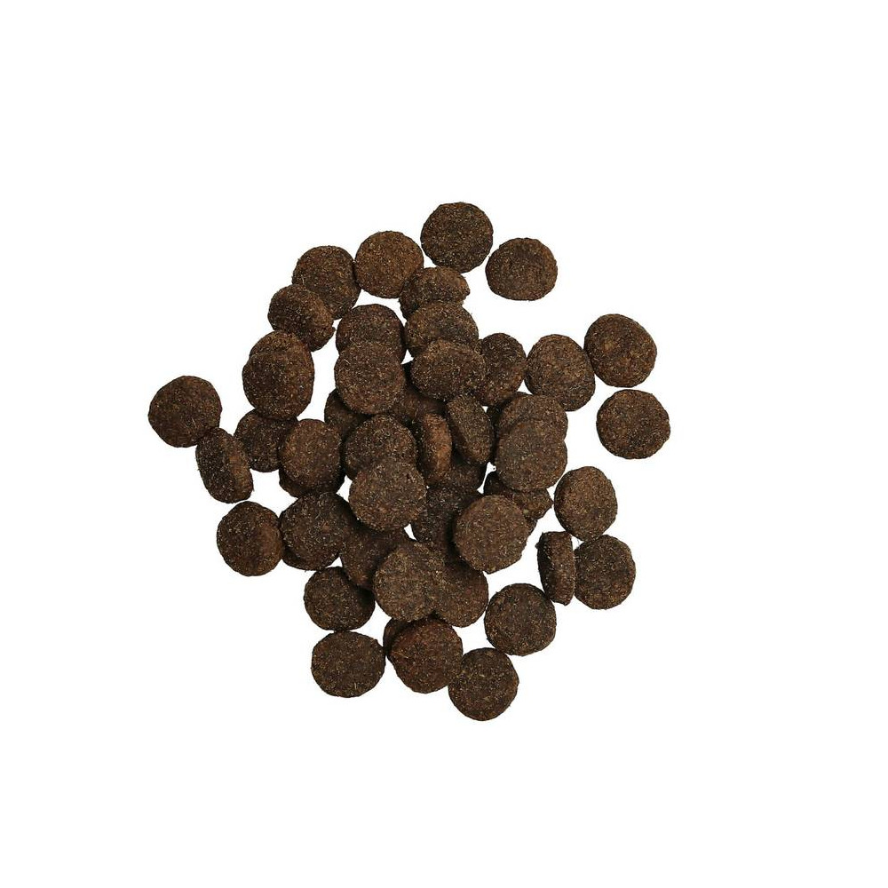 Produktbild för Adult Lamb spannmålsfritt hundfoder 10kg