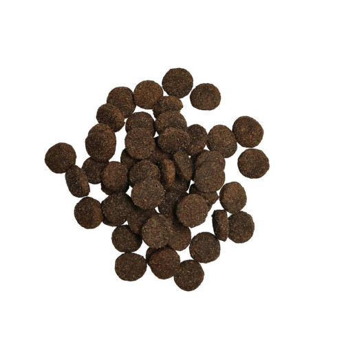HARMONY Adult Lamb spannmålsfritt hundfoder 10kg