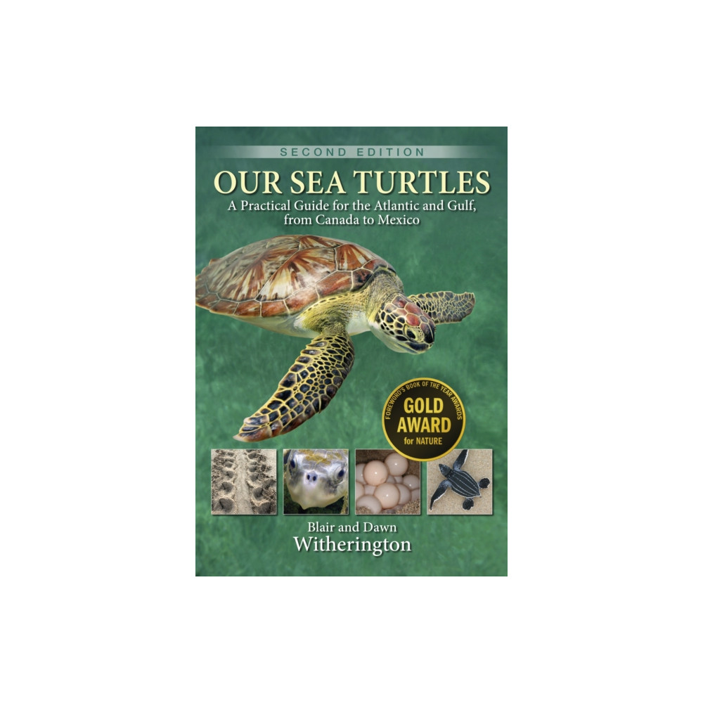 Produktbild för Our Sea Turtles (häftad, eng)