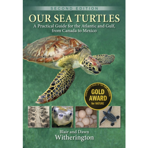 Rowman & littlefield Our Sea Turtles (häftad, eng)