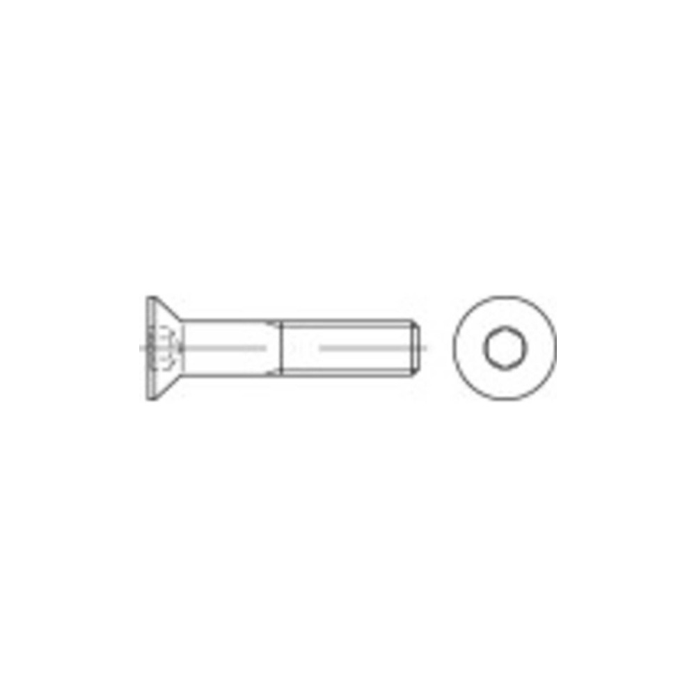 Produktbild för TOOLCRAFT försänkta skruvar M5 55 mm invändig sexkant stål f...