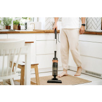 Produktbild för Adler AD 7049, 2-in-1 stick vacuum, Utan påse, Svart, Koppar...