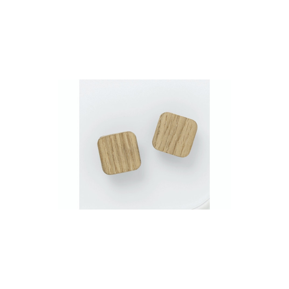 Produktbild för Super Stærke Magneter' i egefiner 2,5 x 2,5 cm