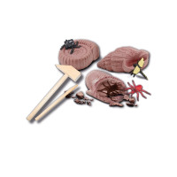 Produktbild för SES Creative Explore Excavate fossils, Fossil, 4 År, Multifä...