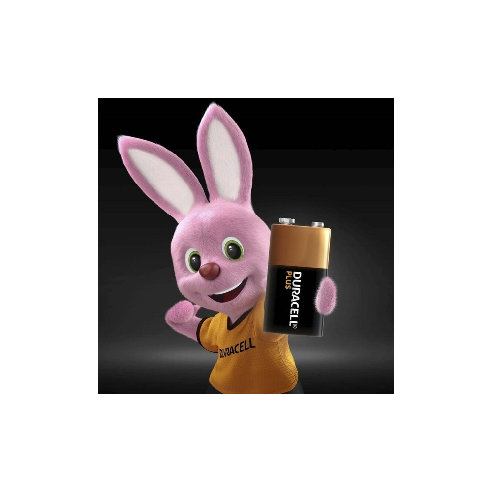 Produktbild för Duracell Plus