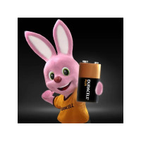 Produktbild för Duracell Plus