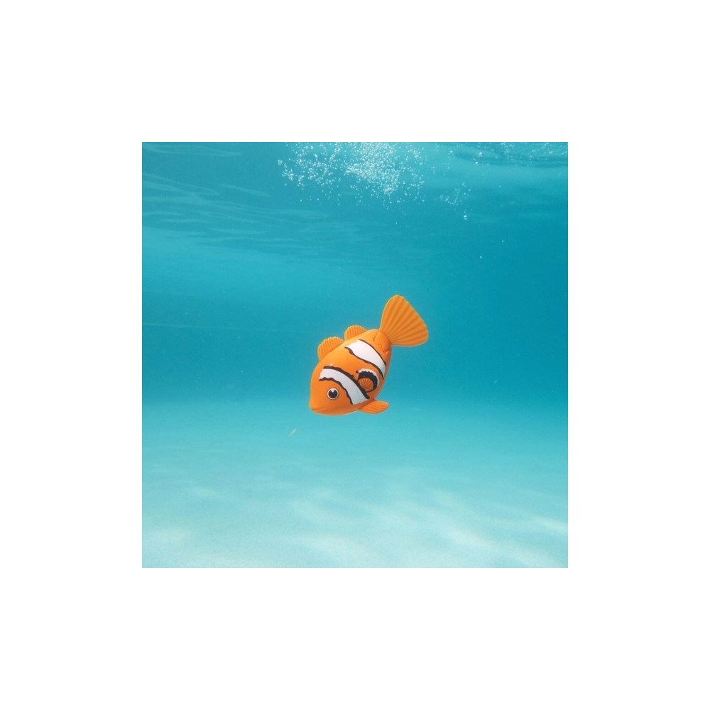Produktbild för Rainbow Reef Fish