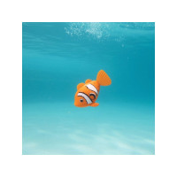 Produktbild för Rainbow Reef Fish