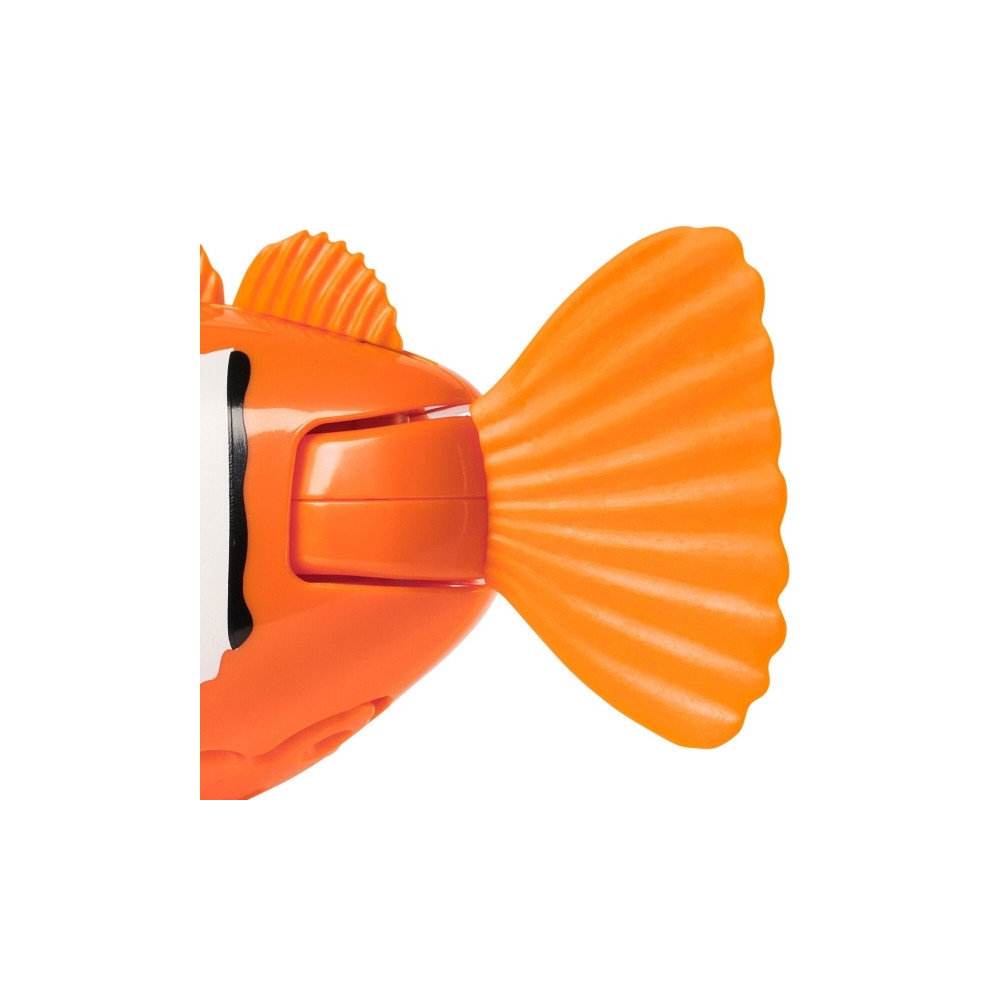 Produktbild för Rainbow Reef Fish
