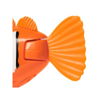 Produktbild för Rainbow Reef Fish