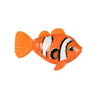 Produktbild för Rainbow Reef Fish