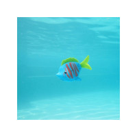 Produktbild för Rainbow Reef Fish