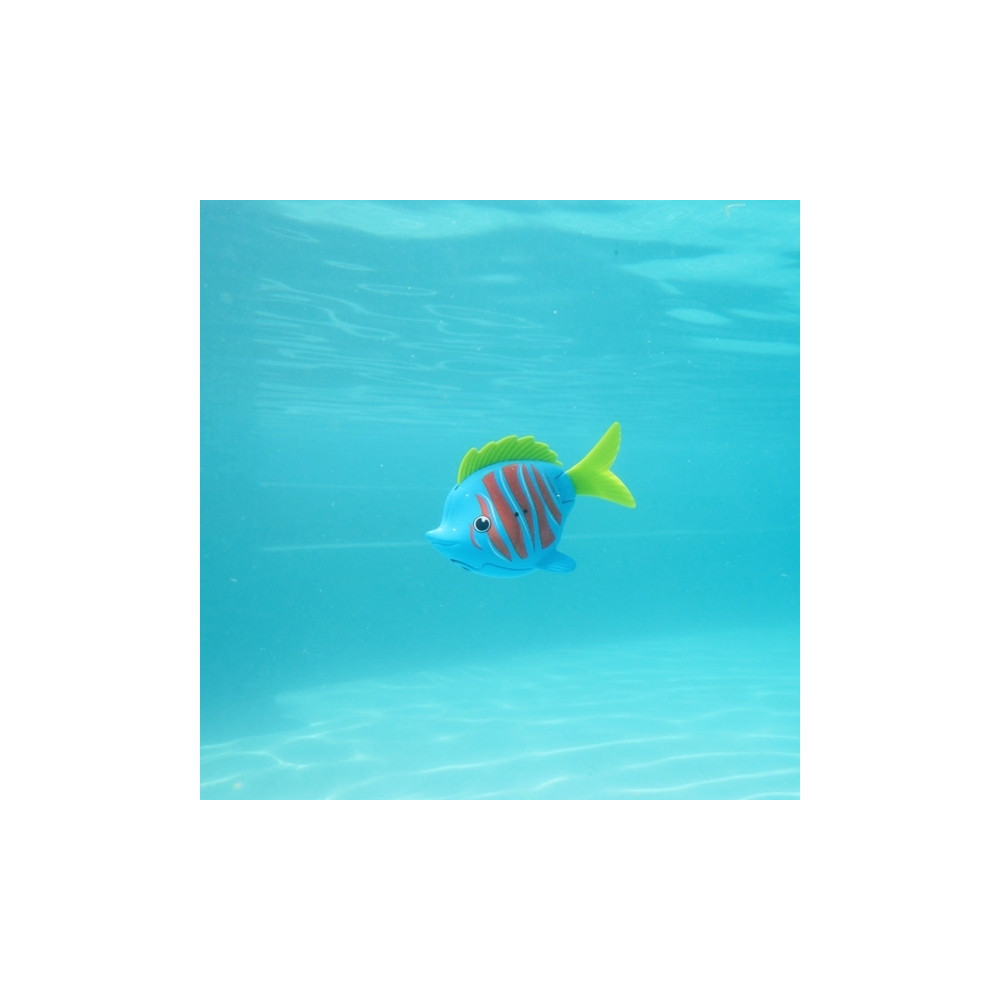 Produktbild för Rainbow Reef Fish