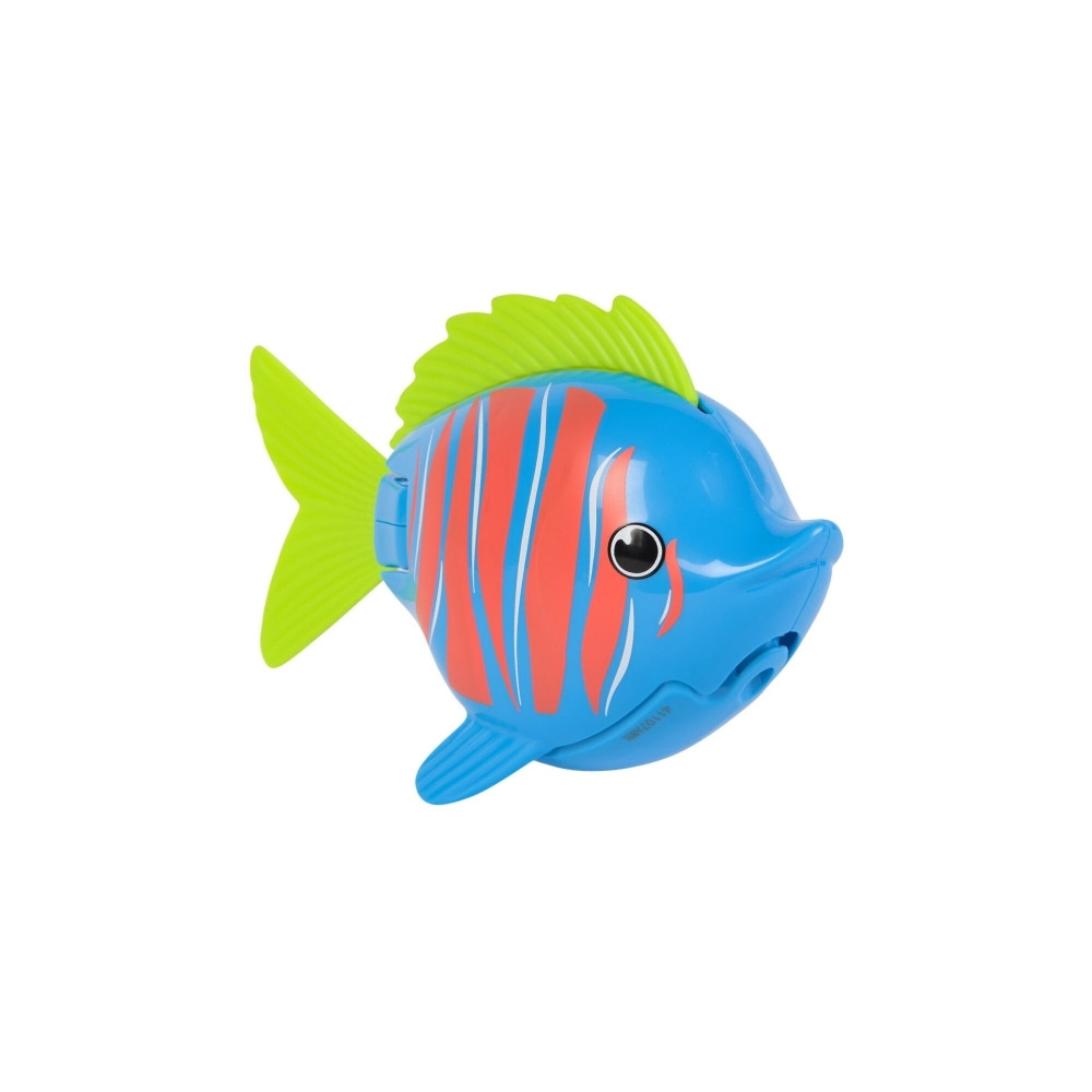 Produktbild för Rainbow Reef Fish