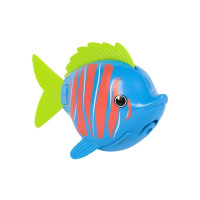 Produktbild för Rainbow Reef Fish