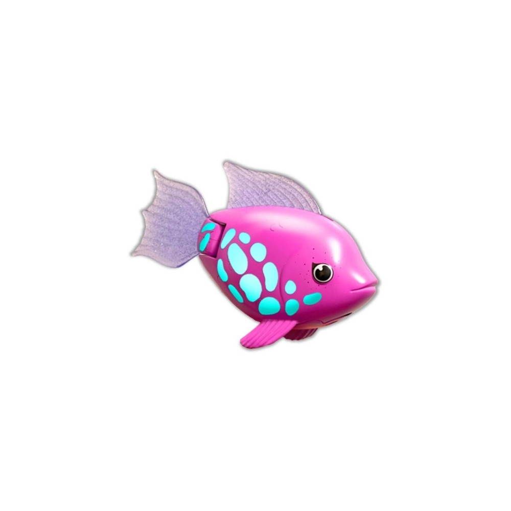 Produktbild för Rainbow Reef Fish