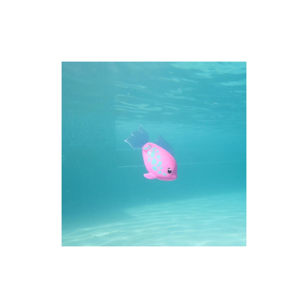 Produktbild för Rainbow Reef Fish