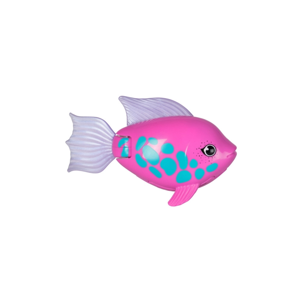 Produktbild för Rainbow Reef Fish