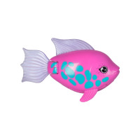 Produktbild för Rainbow Reef Fish