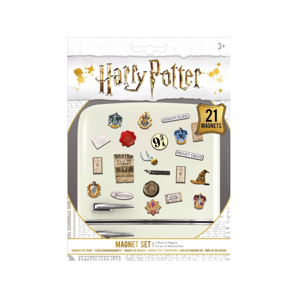 Produktbild för Harry Potter Pyramidint Pyramid Harry Potter (Wizardry) magn...