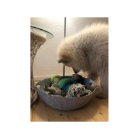 Produktbild för Paw Love